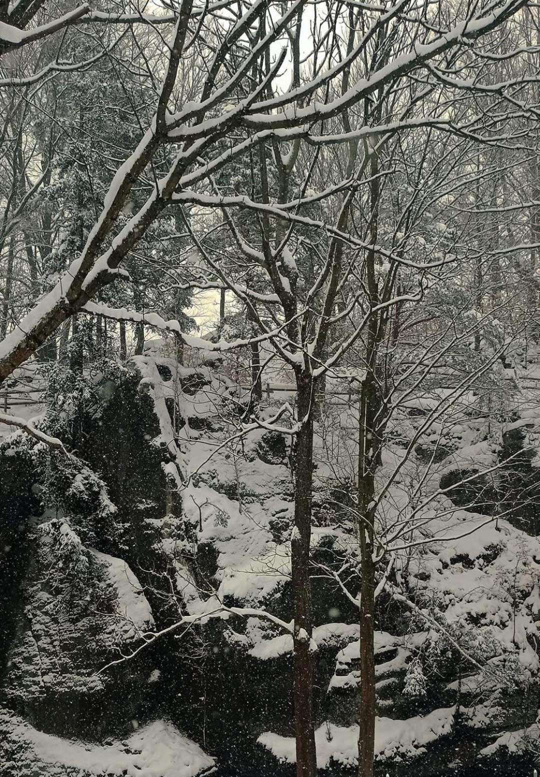 Domek Przy Rozpadlisku Podgórzyn Buitenkant foto